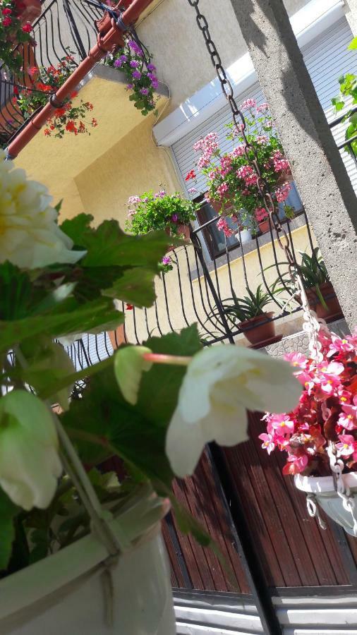 Guest Rooms Ider Sapareva Banya Exterior photo